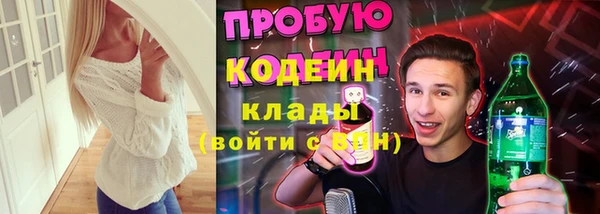 дмт Богородицк