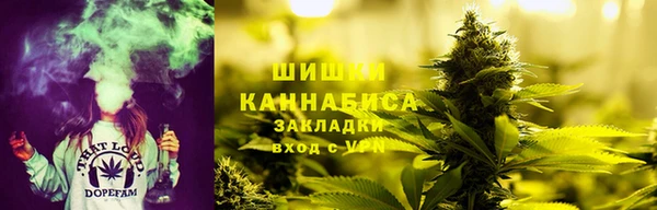 дмт Богородицк