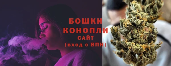 ECSTASY Богданович