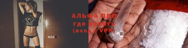 стафф Белокуриха