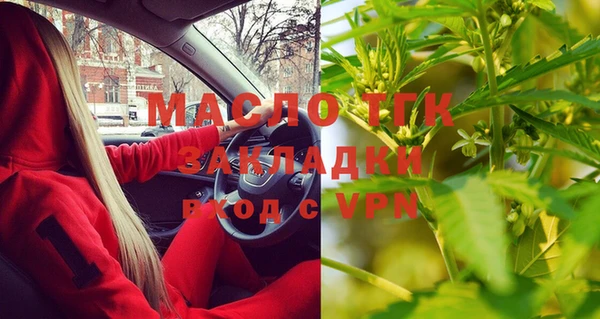 ECSTASY Богданович