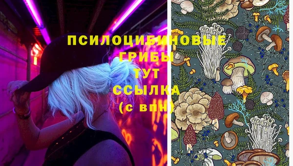 дмт Богородицк
