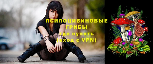 дмт Богородицк